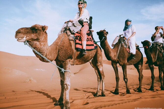 2 days luxury desert trip [fes to fes or marakech] - Day 1: From Fez to Merzouga, the Road Trip That Becomes Part of the Show