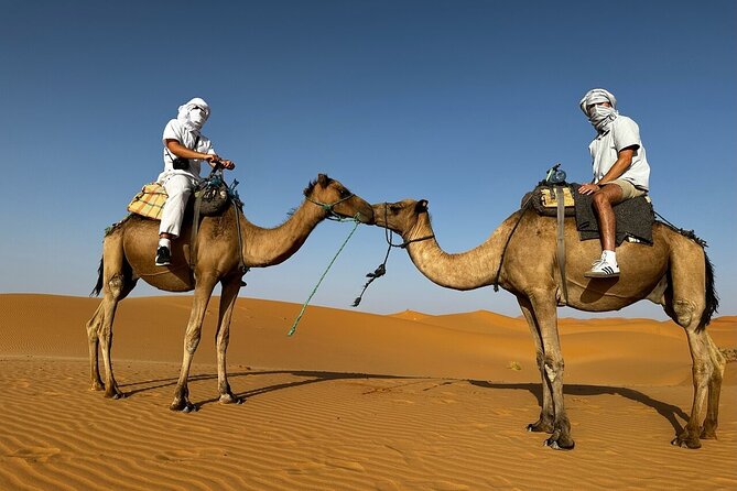 2 Days Luxury Magic Morocco Desert Tour From Fes To Fes - Ifrane, Morocco’s Switzerland: a quick stop with real character