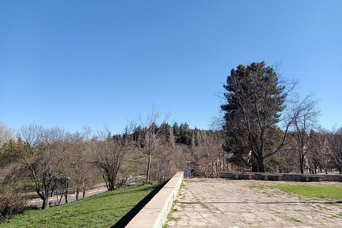 2 Days Luxury Magic Morocco Desert Tour From Fes To Fes - Azrou cedar forest: where the macaques can steal the show