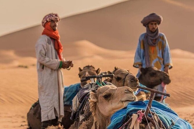 2 Days Luxury Tour to Merzouga Desert from Fez with Small Group - Fez to Merzouga, the comfort-first way to do the Sahara