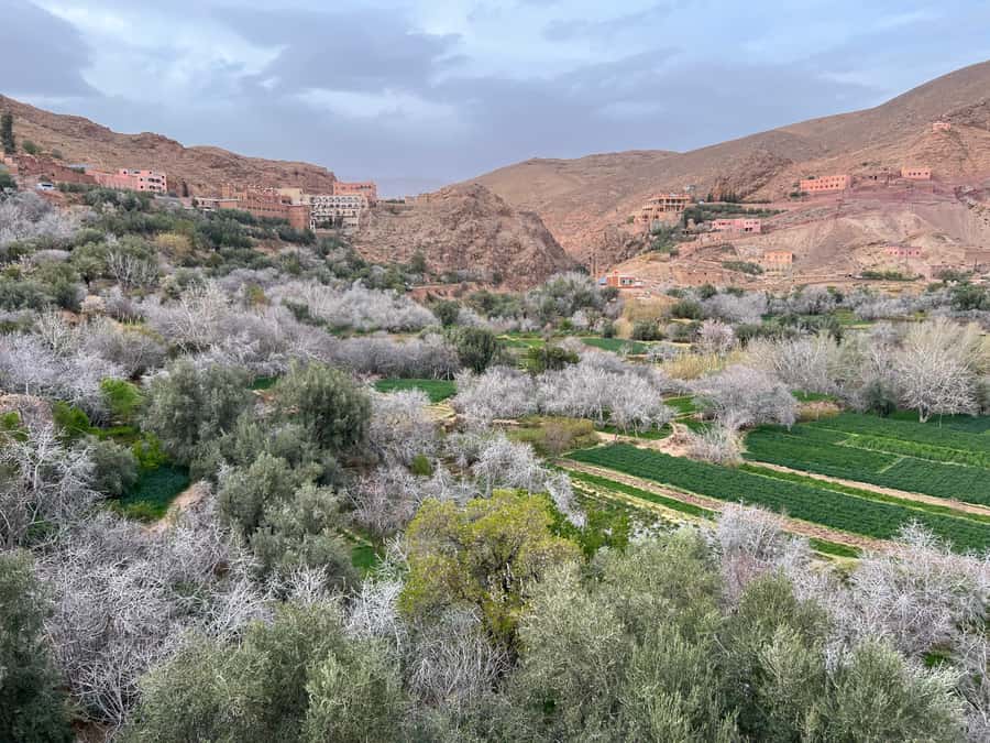 2 Days Trip From Marrakech To Ouarzazate & Dades Valley - Ouarzazate, Hollywood of Morocco: Atlas Film Studios and Kasbah Taourirt