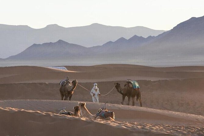 2-Days Zagora desert tour from Marrakech - Ouarzazate choices: cinema museum and Kasbah Taourirt if you want the extra layer