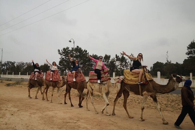 2 Hours Agadir Camel Riding Tour - Key highlights you’ll care about