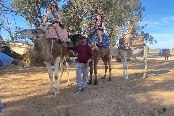 2 Hours Agadir Camel Riding Tour - Getting there from your hotel, without the stress