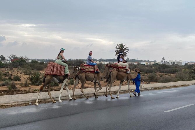 2 Hours Agadir Camel Riding Tour - Mint tea and Moroccan cakes: the best way to end the tour