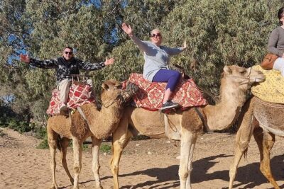 2 Hours Agadir Camel Riding Tour