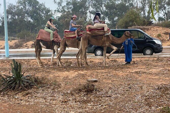 2 Hours Agadir Camel Riding Tour - Price and value: why $17.58 can be a fair deal