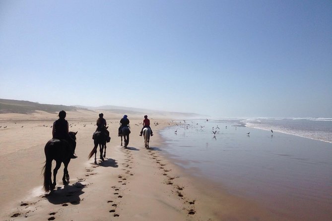 2 hours horse ride beach and dunes in Essaouira Morocco - Entering the Diabat Horse Ride Zone Near Essaouira