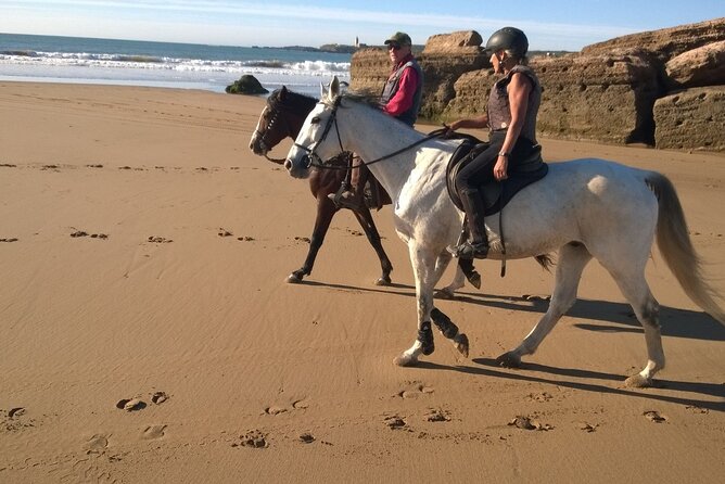 2 hours horse ride beach and dunes in Essaouira Morocco - Meet the Ranch, the Horses, and the Guide Energy