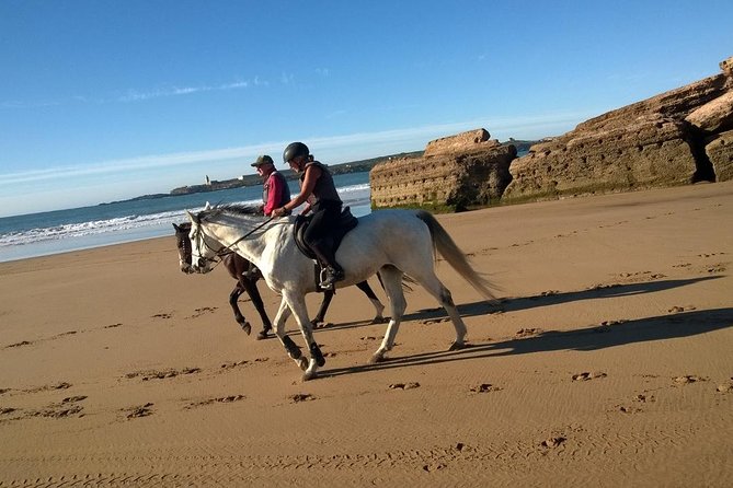 2 hours horse ride beach and dunes in Essaouira Morocco - Price and Value: Is $51.10 Worth It?