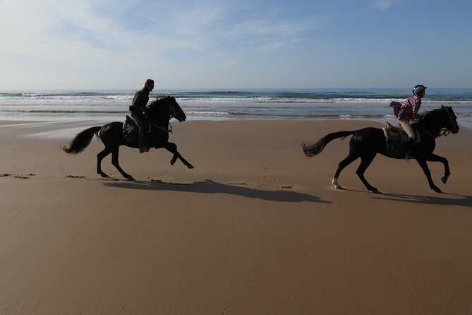 2 hours horse ride beach and dunes in Essaouira Morocco - What the Ride Feels Like, From Beach to the Return Through Eucalypti