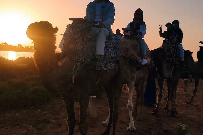 2 Hours Private Camel Ride in Agadir - Getting to the ranch: pickup, timing, and the quick drive