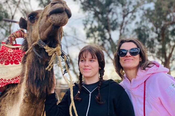 2 Hours Private Camel Ride in Agadir - Animals at the ranch: why this start matters