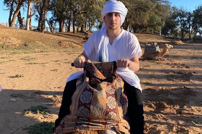 2 Hours Private Camel Ride in Agadir - The route: eucalyptus trees, Souss River views, and palace area passes