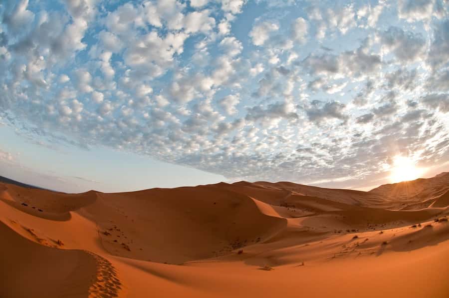 2Days Desert Tour From Fez: Round-Trip with Luxury Camp stay - The Most Praised Part of This Tour: Drivers Who Keep the Trip Human