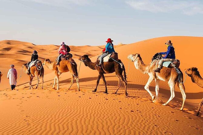 2Days Share Tour From Fes To Marrakech Or Fes Via Sahara & camel - Why this 2-day Fes to Marrakech desert route works