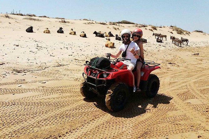 2h quad bike on the beach and in the dunes - Price and Value: Why This Often Feels Like a Win