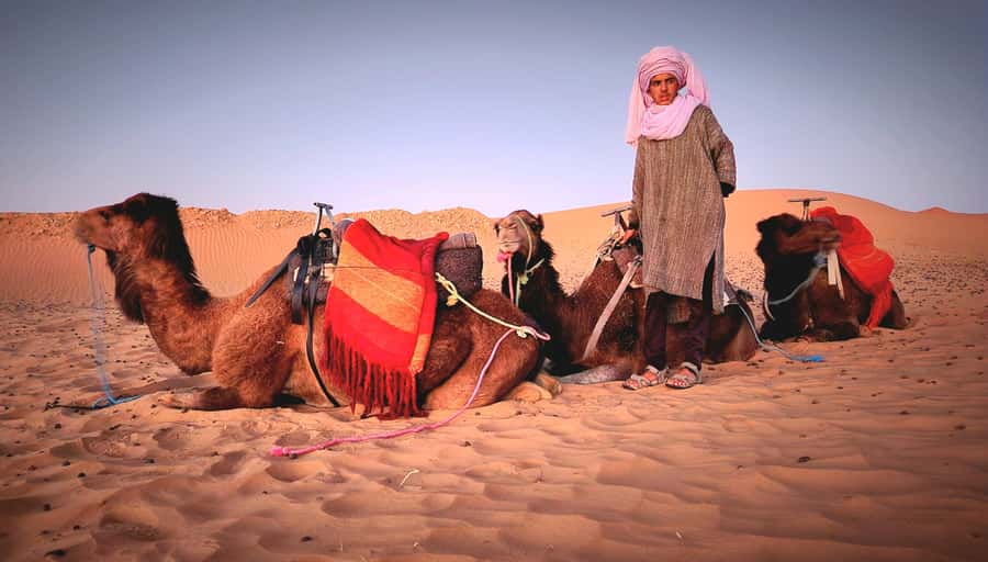 3-Day Desert Adventure: Ouarzazate to Merzouga - Who This Trip Fits Best (and Who Should Skip It)
