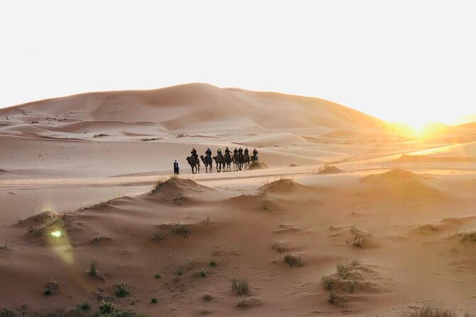 3-Day Desert Tour from Marrakech to Marzouga - Should you book this 3-day desert tour?