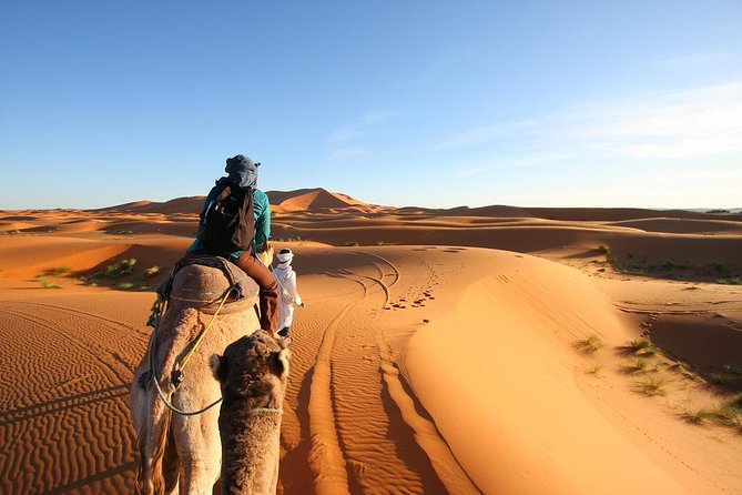 3 Day Desert Tour Marrakech to Fes - Price and logistics, what you should be paying for