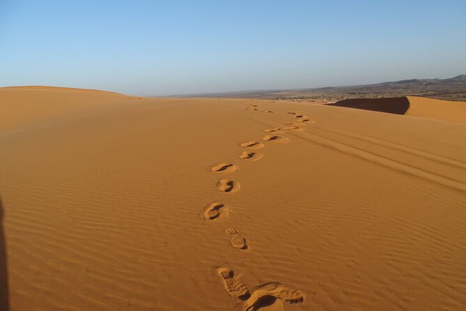 3 Day From Marrakech to fes - The Driver-Guide Factor: What People Seem to Get Right