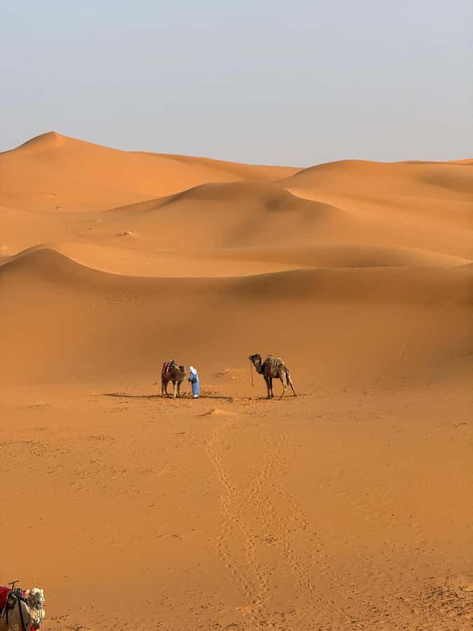 3-Day luxury Adventure: Marrakech to Merzouga incl.Quad/show - Entering the Marrakech to Merzouga circuit: why this route works in 3 days