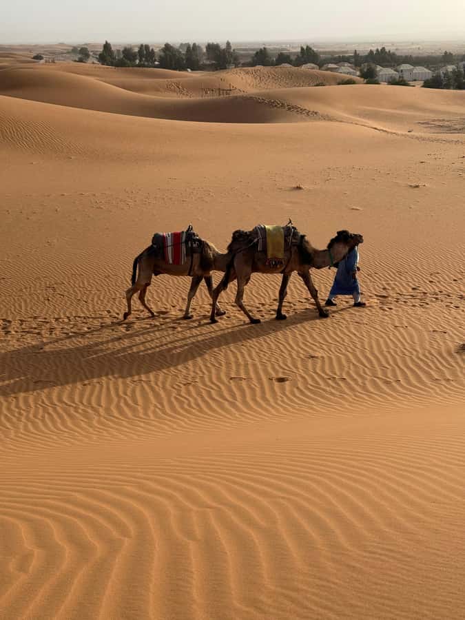 3-Day luxury Adventure: Marrakech to Merzouga incl.Quad/show - The “luxury” part: what you actually pay for, and what you should not expect