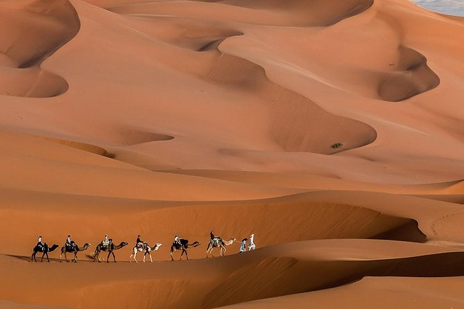 3 Day Marrakech to Fes desert Tour - Camel Trek - Day 2: Todra Gorges, palm oasis, and the Merzouga camel trek