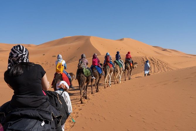 3 Day Marrakech to Fes desert Tour - Camel Trek - The value question: is $573.51 a fair deal?