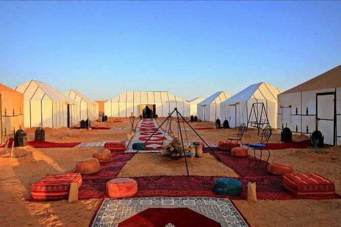 3-Day Marrakech to Fes Sahara Desert Tour via Merzouga - Day 3: Sunrise over the dunes, Ziz Valley palms, Azrou monkeys, arrival in Fez