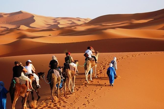 3-Day Marrakech to Fes Sahara Desert Tour via Merzouga - Price and comfort trade-offs: Standard vs Premium desert nights