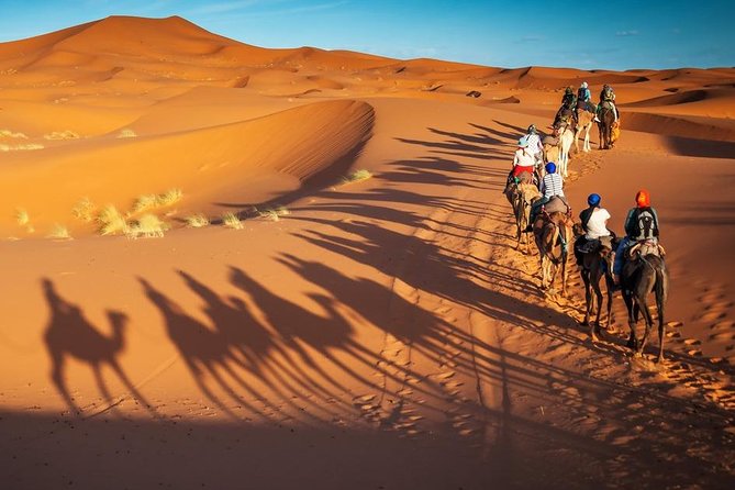 3-Day Marrakech to Fes Sahara Desert Tour via Merzouga - Should you book it?