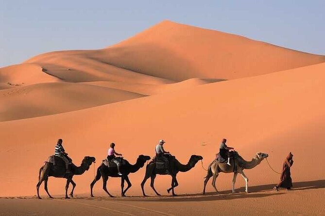 3-Day Marrakech to Merzouga Desert Tour: Camel Rides & Overnights - Day 2: Todra Gorge, Erfoud Fossils, and the Erg Chebbi Camel Trek
