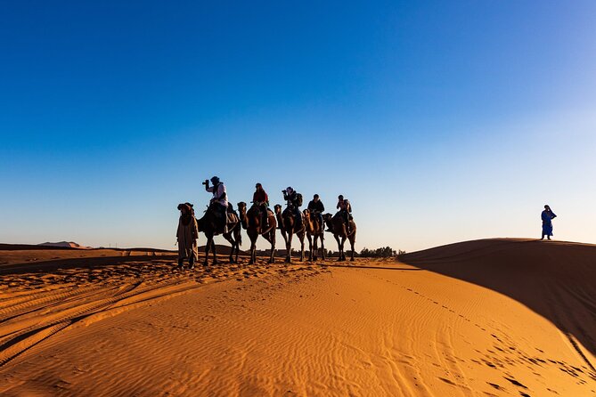 3-Day Marrakech to Merzouga Desert Tour: Camel Rides & Overnights - Day 3: Early Breakfast, Roses Valley Lunch, and Returning Over the Atlas