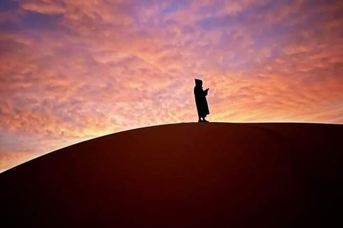 3 Day Morocco Tour: Fes to Marrakech via Sahara & Atlas - Fes to Merzouga: Ifrane, cedar monkeys, the Ziz valley drive, then you switch to camels