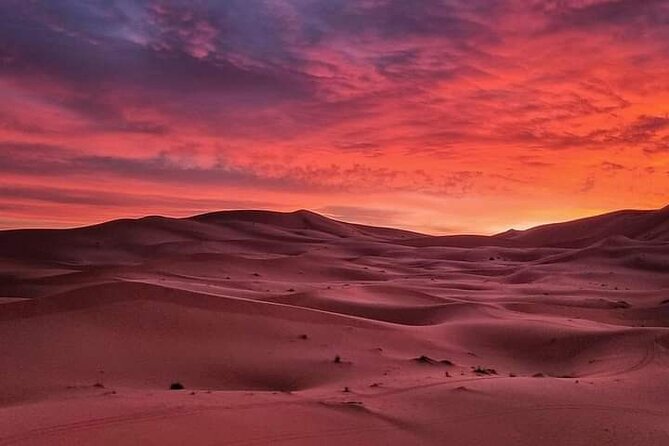 3 Day Morocco Tour: Fes to Marrakech via Sahara & Atlas - Rose Valley to Ouarzazate studios, Ait Ben Haddou UNESCO, then the drop into Marrakech