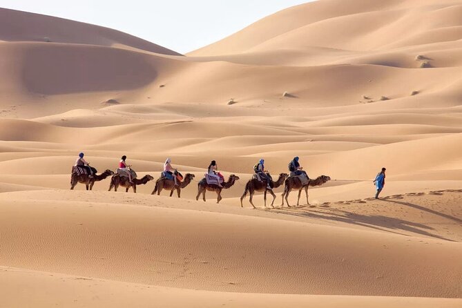 3-Day Sahara Adventure: Marrakech to Fez via Merzouga - Marrakech to Fez, with the desert as the main character