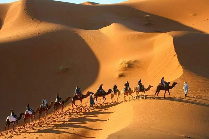 3-Day Sahara Adventure: Marrakech to Fez via Merzouga - Day 2: Todra Gorge with locals, then camel sunset and Erg Chabbi stars