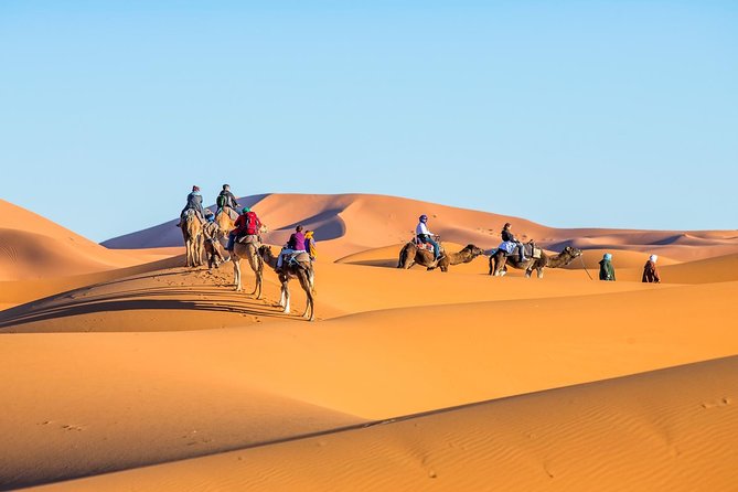 3 Day Sahara Desert Tour From Marrakech - Why this Sahara run feels different from the usual Marrakech trip