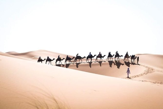 3 Day to Sahara Desert Trip From/To Marrakech - Day 2: Dadès to Todgha Gorges, then on to Merzouga and the desert camp