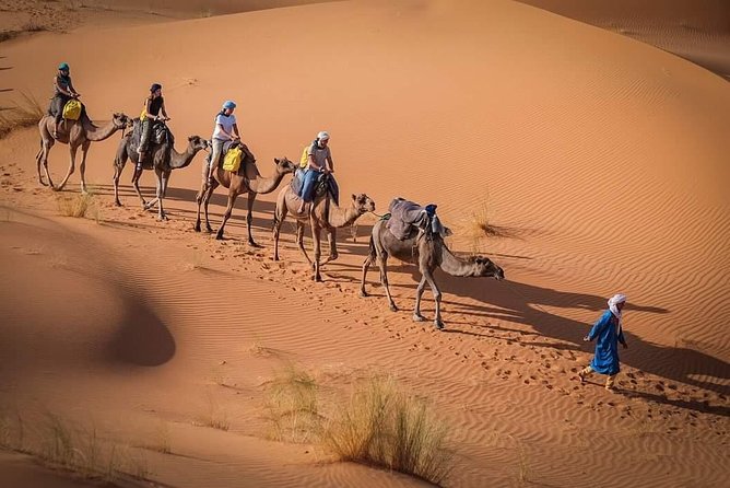 3 Day to Sahara Desert Trip From/To Marrakech - Price and logistics: what $202 gets you, and where extra spending happens