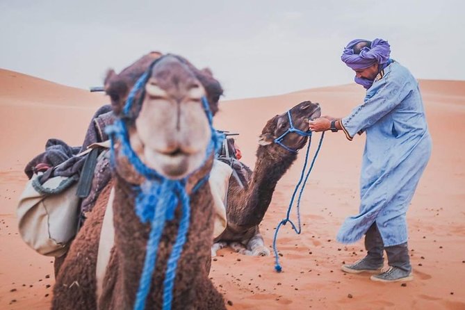 3 Day to Sahara Desert Trip From/To Marrakech - Getting started at 8:00 AM, and how pickup really works