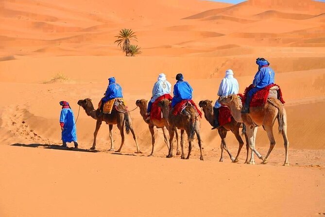 3-Day Tour from Marrakech to Merzouga Desert - Key highlights worth putting on your radar