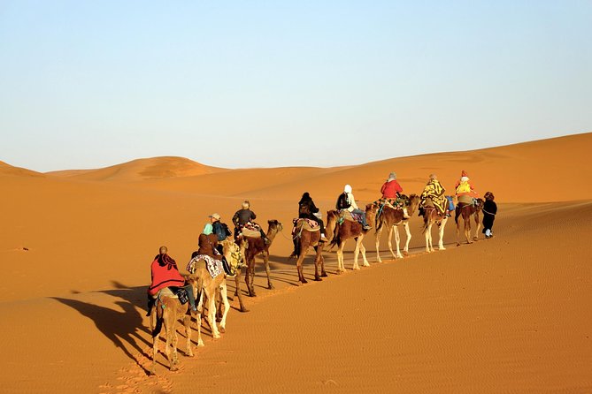 3-Day Tour to Merzouga Erg Chebbi with Food & Camel Trek - Price and value: what $133.24 gets you, and what it does not