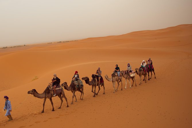 3 Days 2 Nights Adventure from Marrakech to Fez via Desert - Merzouga and Erg Chebbi: camel ride and a Berber camp night