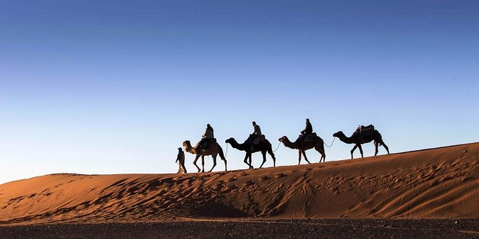 3 Days 2 Nights Adventure from Marrakech to Fez via Desert - Price and logistics: is $150 good value for this route?