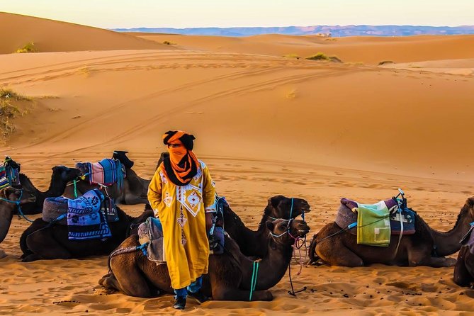 3 Days 2 nights Desert Tour from and back to Marrakech - Who this trip is best for