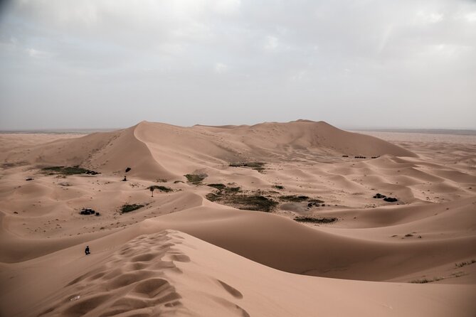 3 Days 2 Nights Desert Tour from Fes to Marrakech via erg Chebbi - Merzouga arrival and the camel trek into Erg Chebbi