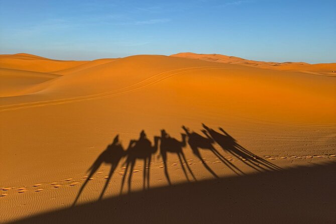 3 Days 2 Nights Desert Tour from Fes to Marrakech via Merzouga - Your first night in a Sahara camp: private tent under the stars