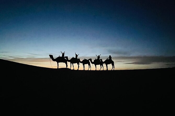 3 Days 2 Nights Desert Tour from Fes to Marrakech via Merzouga - How the Erg Chebbi camel ride and sand boarding work (and why they matter)